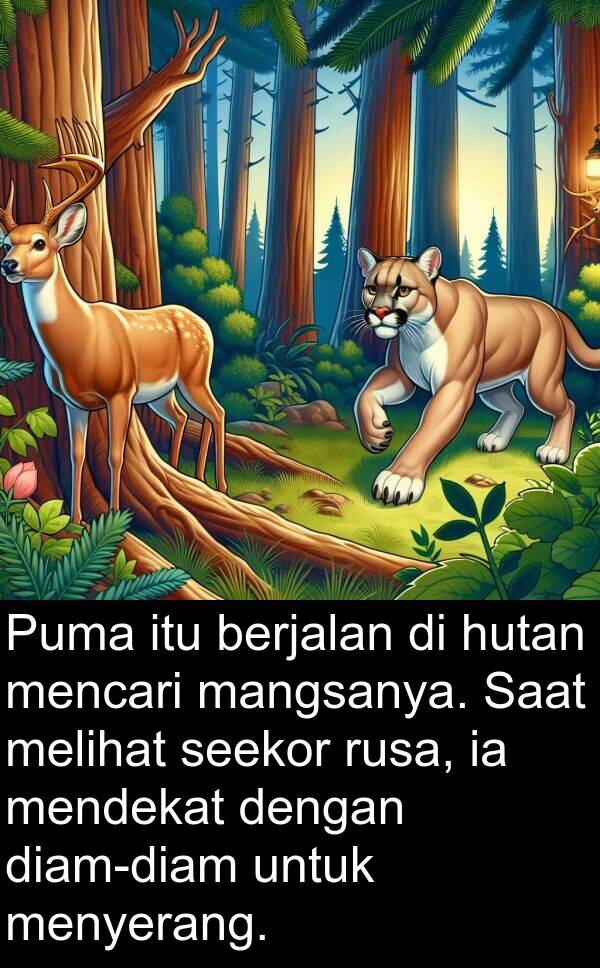 mangsanya: Puma itu berjalan di hutan mencari mangsanya. Saat melihat seekor rusa, ia mendekat dengan diam-diam untuk menyerang.