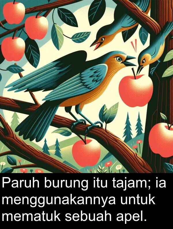 mematuk: Paruh burung itu tajam; ia menggunakannya untuk mematuk sebuah apel.