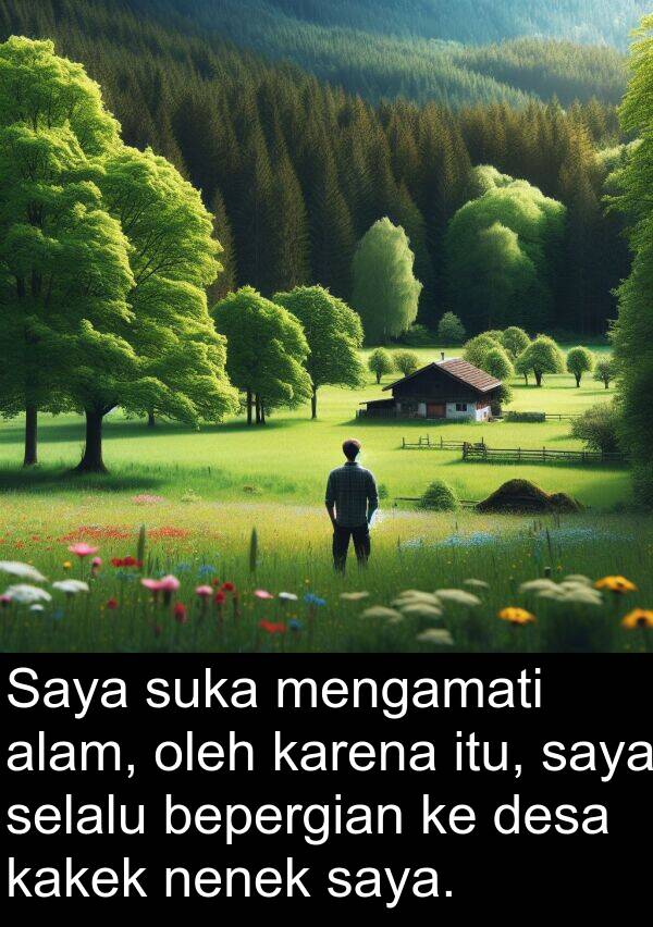 nenek: Saya suka mengamati alam, oleh karena itu, saya selalu bepergian ke desa kakek nenek saya.