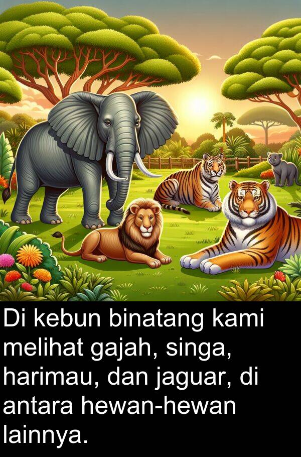 jaguar: Di kebun binatang kami melihat gajah, singa, harimau, dan jaguar, di antara hewan-hewan lainnya.