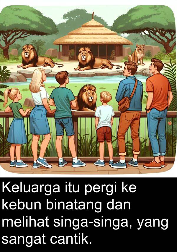kebun: Keluarga itu pergi ke kebun binatang dan melihat singa-singa, yang sangat cantik.