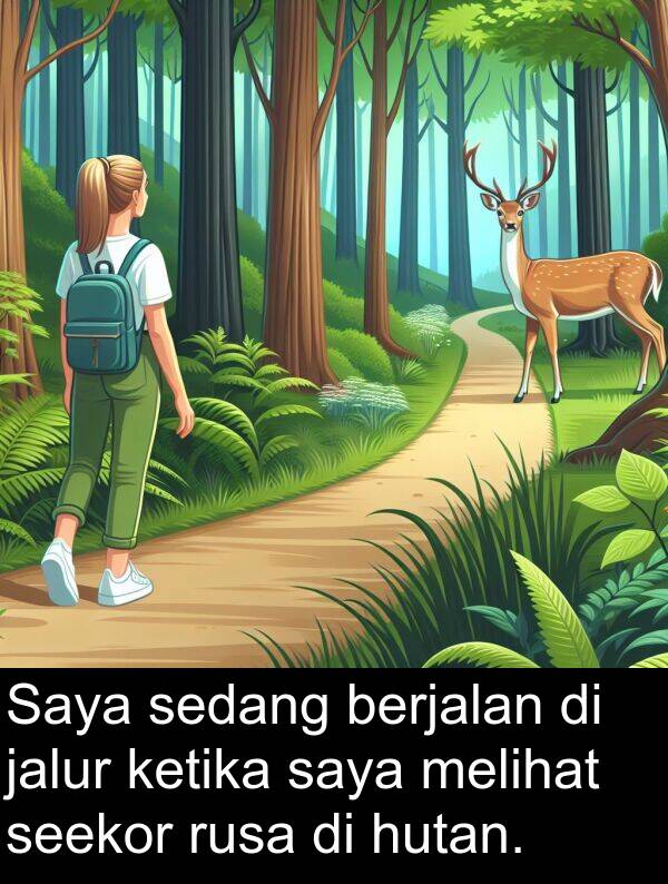 hutan: Saya sedang berjalan di jalur ketika saya melihat seekor rusa di hutan.