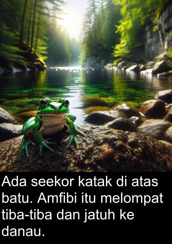 jatuh: Ada seekor katak di atas batu. Amfibi itu melompat tiba-tiba dan jatuh ke danau.