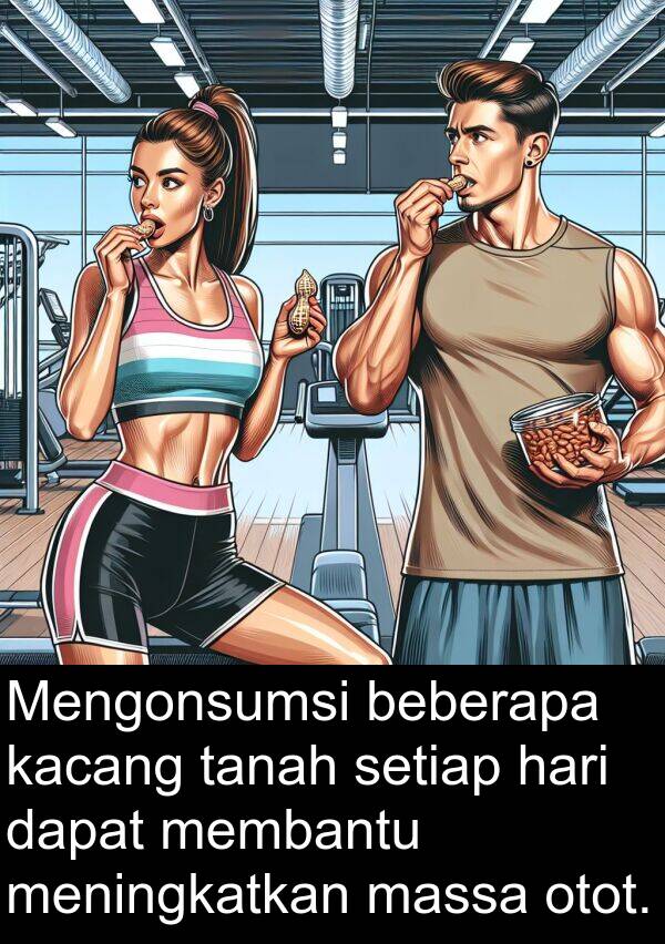 otot: Mengonsumsi beberapa kacang tanah setiap hari dapat membantu meningkatkan massa otot.