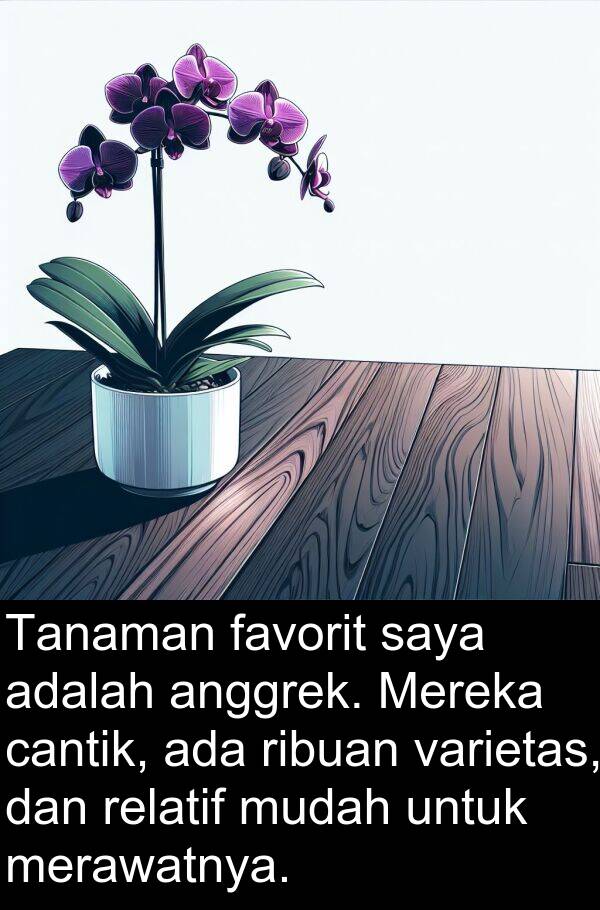 relatif: Tanaman favorit saya adalah anggrek. Mereka cantik, ada ribuan varietas, dan relatif mudah untuk merawatnya.