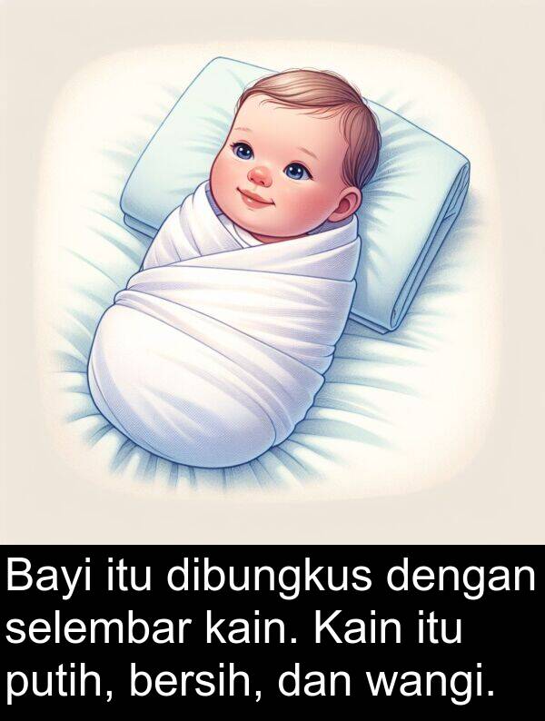 selembar: Bayi itu dibungkus dengan selembar kain. Kain itu putih, bersih, dan wangi.
