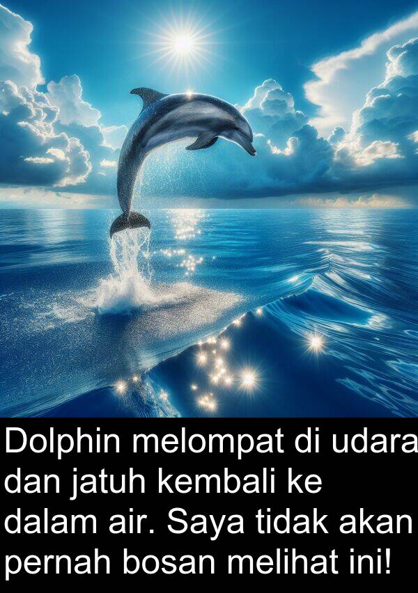 jatuh: Dolphin melompat di udara dan jatuh kembali ke dalam air. Saya tidak akan pernah bosan melihat ini!