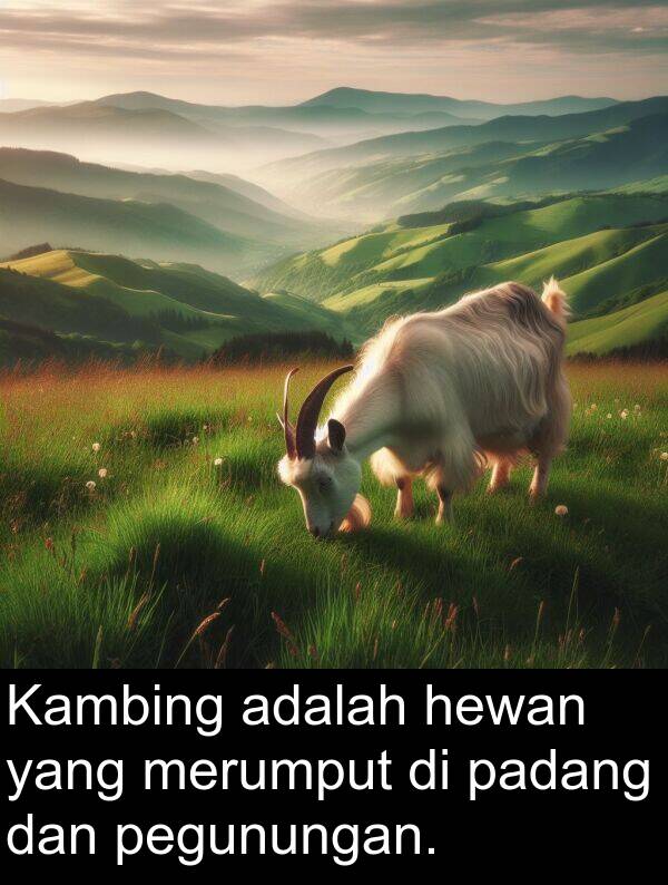 hewan: Kambing adalah hewan yang merumput di padang dan pegunungan.