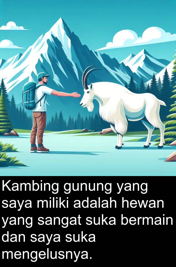 gunung: Kambing gunung yang saya miliki adalah hewan yang sangat suka bermain dan saya suka mengelusnya.