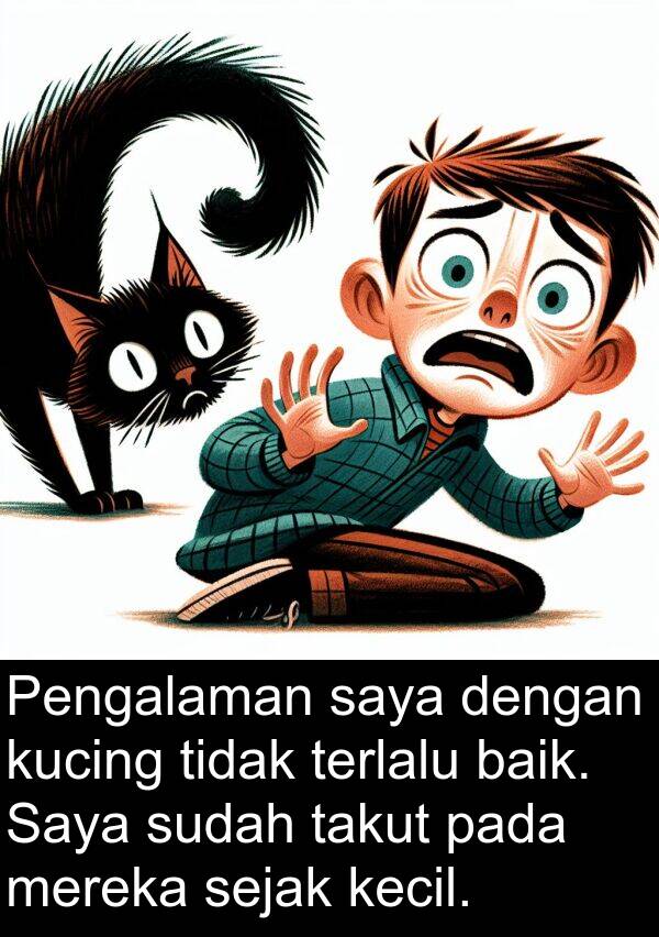 sejak: Pengalaman saya dengan kucing tidak terlalu baik. Saya sudah takut pada mereka sejak kecil.
