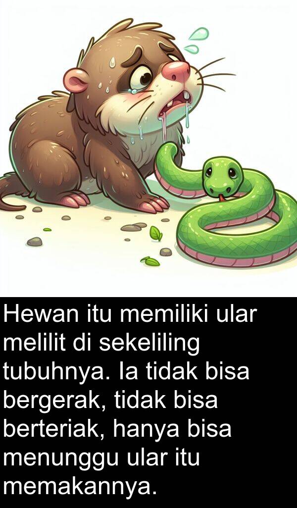 memakannya: Hewan itu memiliki ular melilit di sekeliling tubuhnya. Ia tidak bisa bergerak, tidak bisa berteriak, hanya bisa menunggu ular itu memakannya.