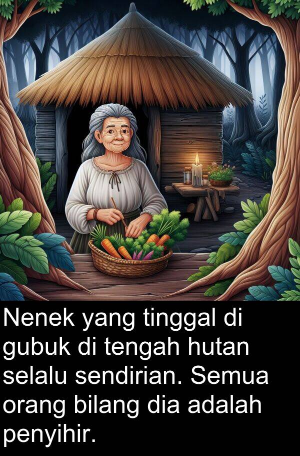 sendirian: Nenek yang tinggal di gubuk di tengah hutan selalu sendirian. Semua orang bilang dia adalah penyihir.