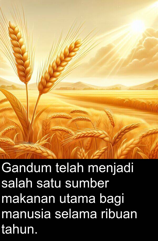 makanan: Gandum telah menjadi salah satu sumber makanan utama bagi manusia selama ribuan tahun.