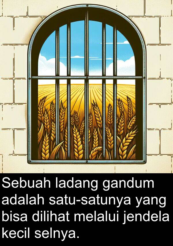 selnya: Sebuah ladang gandum adalah satu-satunya yang bisa dilihat melalui jendela kecil selnya.