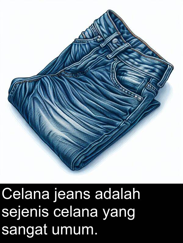 sejenis: Celana jeans adalah sejenis celana yang sangat umum.