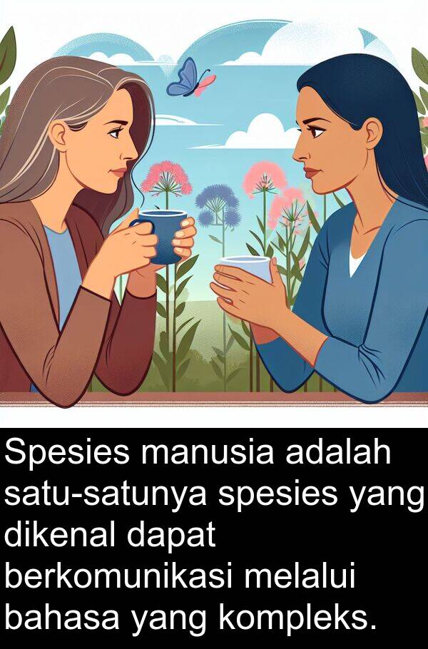 bahasa: Spesies manusia adalah satu-satunya spesies yang dikenal dapat berkomunikasi melalui bahasa yang kompleks.