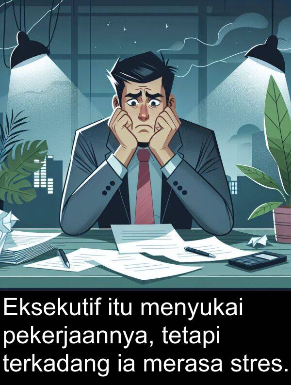 pekerjaannya: Eksekutif itu menyukai pekerjaannya, tetapi terkadang ia merasa stres.