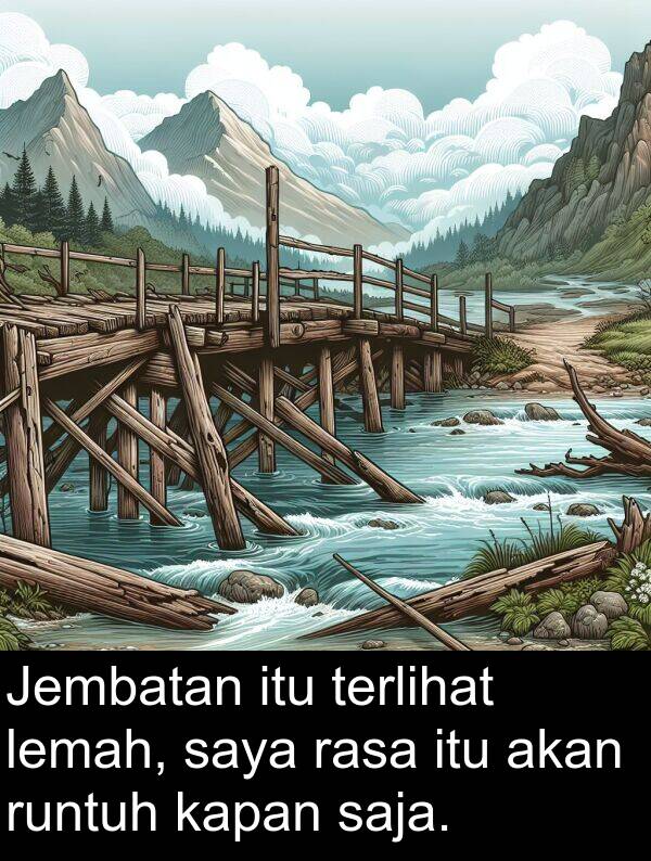 rasa: Jembatan itu terlihat lemah, saya rasa itu akan runtuh kapan saja.