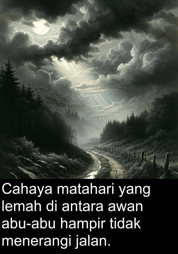 hampir: Cahaya matahari yang lemah di antara awan abu-abu hampir tidak menerangi jalan.