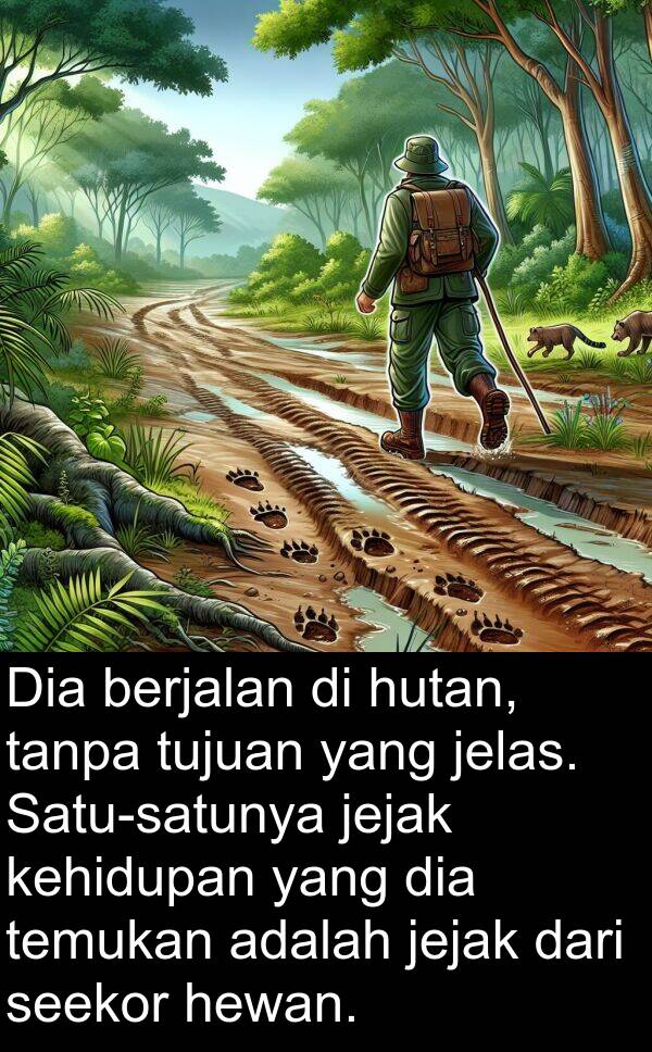jejak: Dia berjalan di hutan, tanpa tujuan yang jelas. Satu-satunya jejak kehidupan yang dia temukan adalah jejak dari seekor hewan.