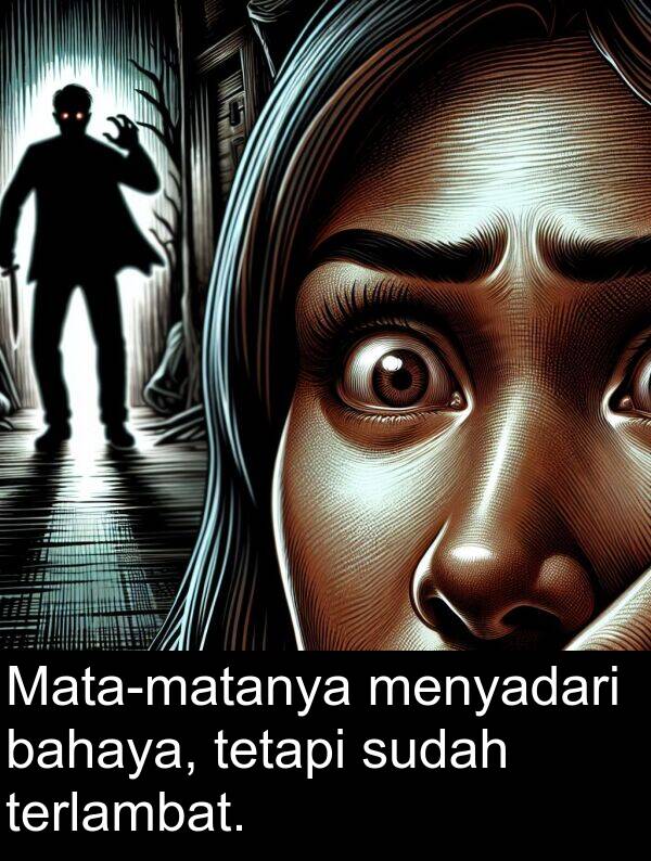 terlambat: Mata-matanya menyadari bahaya, tetapi sudah terlambat.