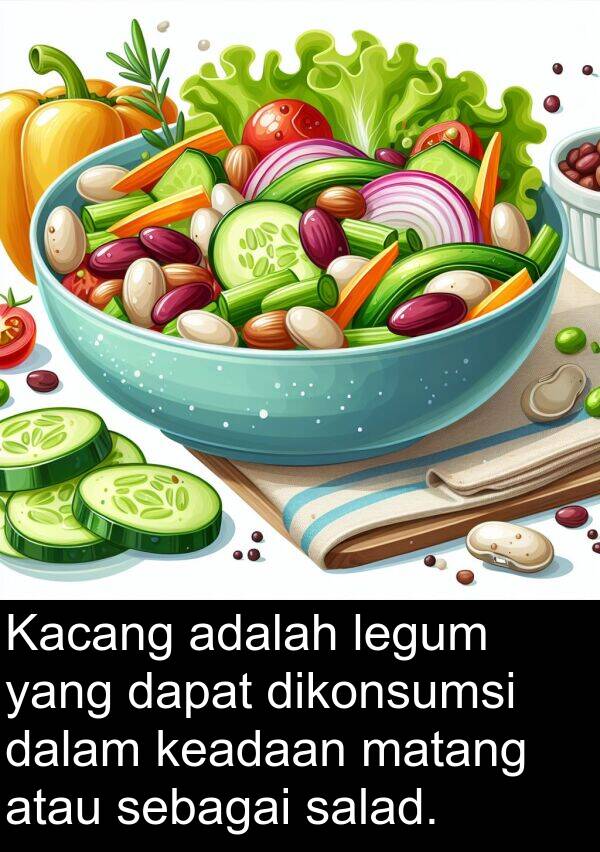 sebagai: Kacang adalah legum yang dapat dikonsumsi dalam keadaan matang atau sebagai salad.
