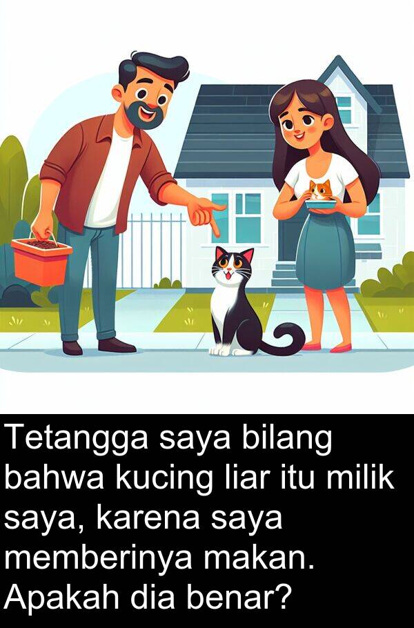 kucing: Tetangga saya bilang bahwa kucing liar itu milik saya, karena saya memberinya makan. Apakah dia benar?