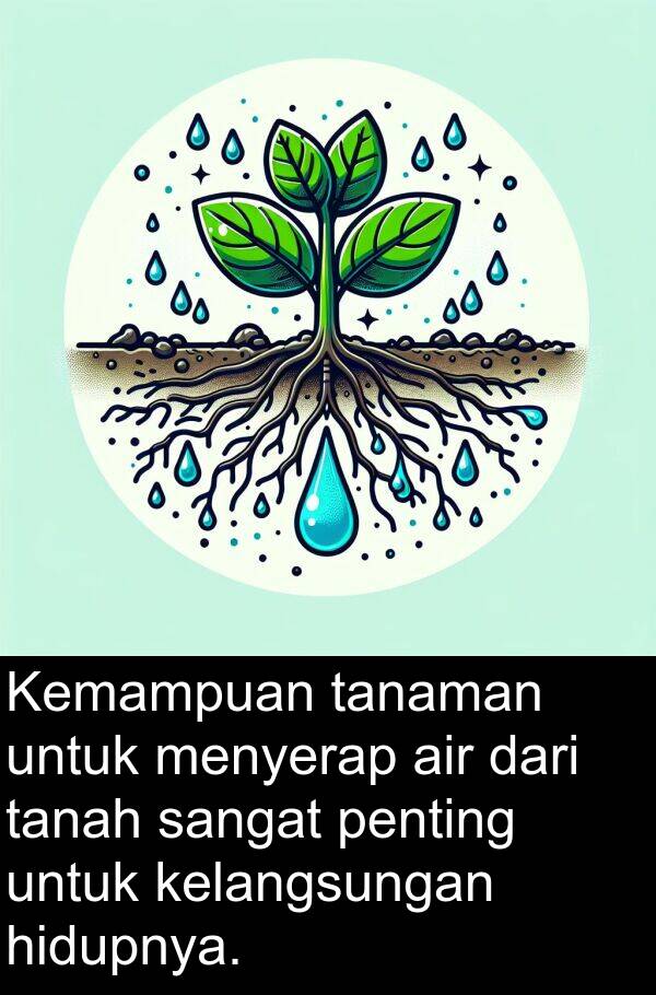tanaman: Kemampuan tanaman untuk menyerap air dari tanah sangat penting untuk kelangsungan hidupnya.