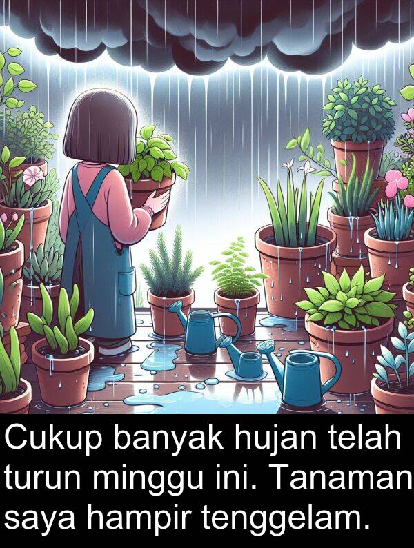 hampir: Cukup banyak hujan telah turun minggu ini. Tanaman saya hampir tenggelam.
