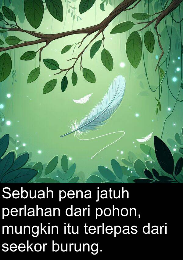 terlepas: Sebuah pena jatuh perlahan dari pohon, mungkin itu terlepas dari seekor burung.