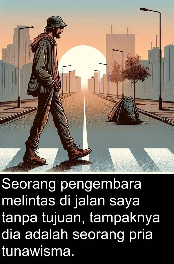 tampaknya: Seorang pengembara melintas di jalan saya tanpa tujuan, tampaknya dia adalah seorang pria tunawisma.