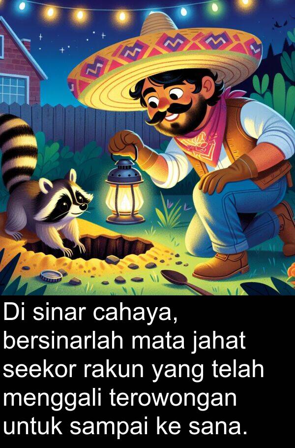 sana: Di sinar cahaya, bersinarlah mata jahat seekor rakun yang telah menggali terowongan untuk sampai ke sana.