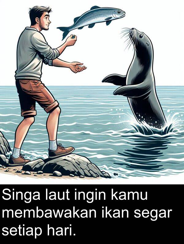 segar: Singa laut ingin kamu membawakan ikan segar setiap hari.