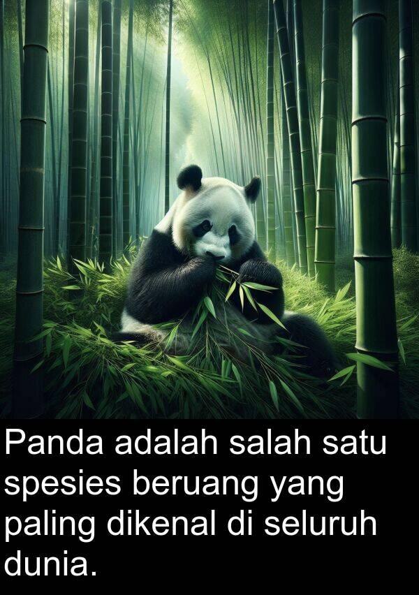 seluruh: Panda adalah salah satu spesies beruang yang paling dikenal di seluruh dunia.
