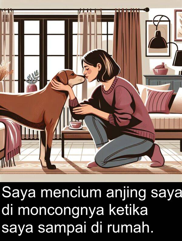 sampai: Saya mencium anjing saya di moncongnya ketika saya sampai di rumah.