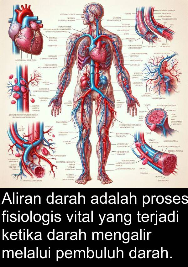 pembuluh: Aliran darah adalah proses fisiologis vital yang terjadi ketika darah mengalir melalui pembuluh darah.