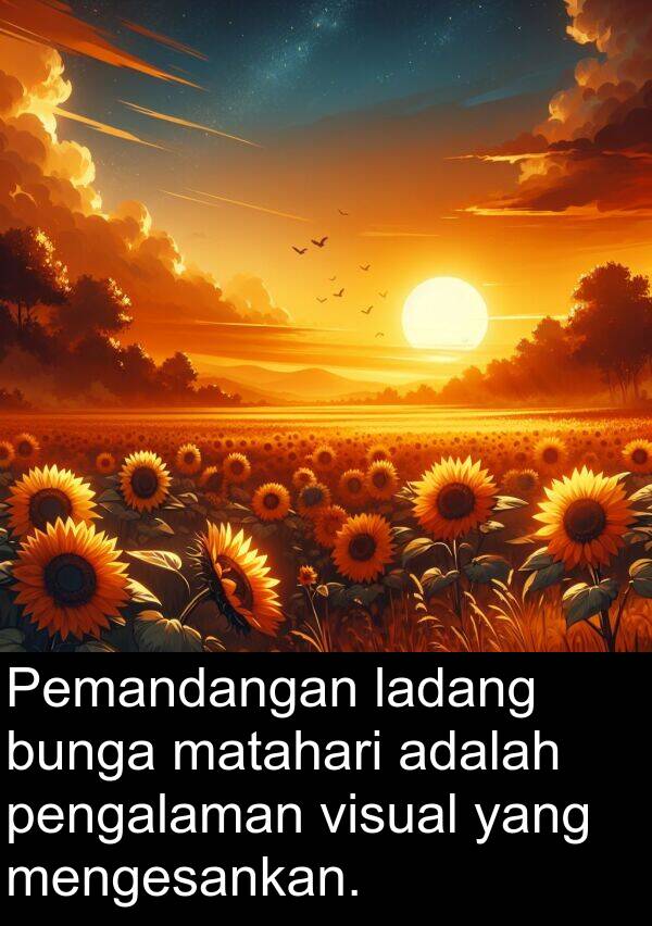 visual: Pemandangan ladang bunga matahari adalah pengalaman visual yang mengesankan.