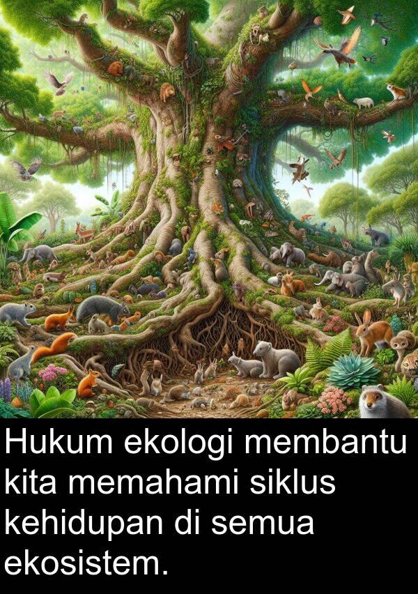 memahami: Hukum ekologi membantu kita memahami siklus kehidupan di semua ekosistem.