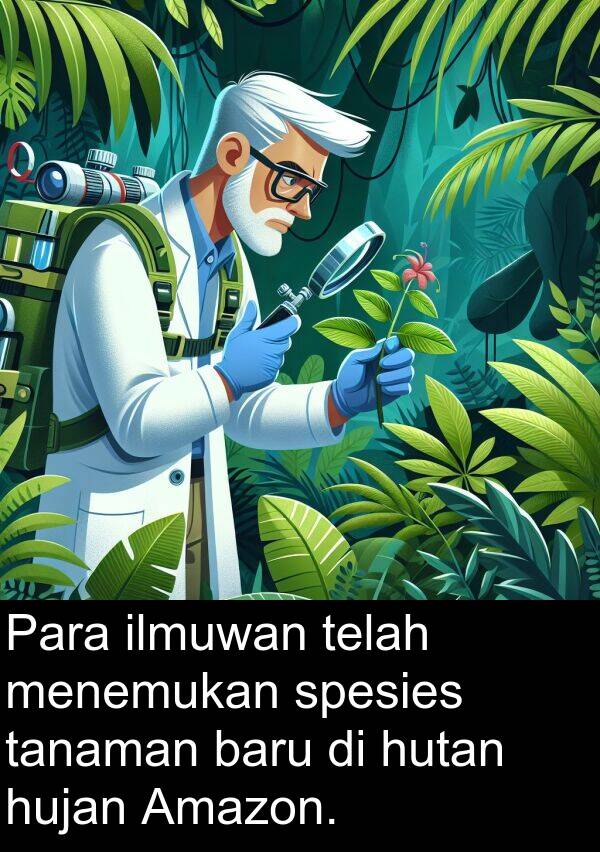 hutan: Para ilmuwan telah menemukan spesies tanaman baru di hutan hujan Amazon.