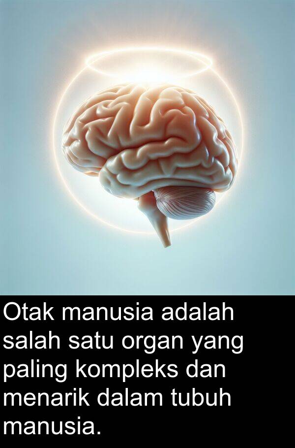kompleks: Otak manusia adalah salah satu organ yang paling kompleks dan menarik dalam tubuh manusia.