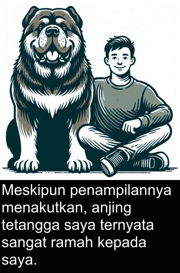 ternyata: Meskipun penampilannya menakutkan, anjing tetangga saya ternyata sangat ramah kepada saya.