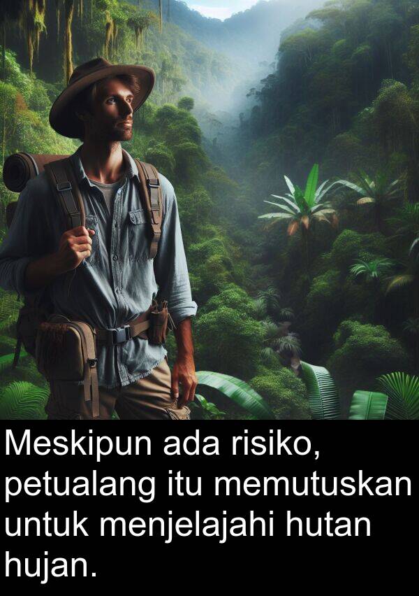 hutan: Meskipun ada risiko, petualang itu memutuskan untuk menjelajahi hutan hujan.