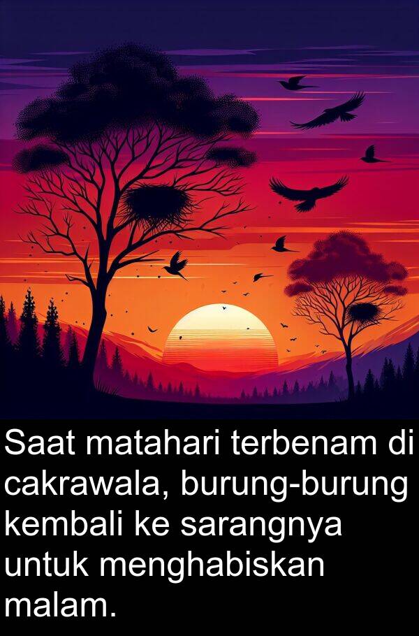 sarangnya: Saat matahari terbenam di cakrawala, burung-burung kembali ke sarangnya untuk menghabiskan malam.