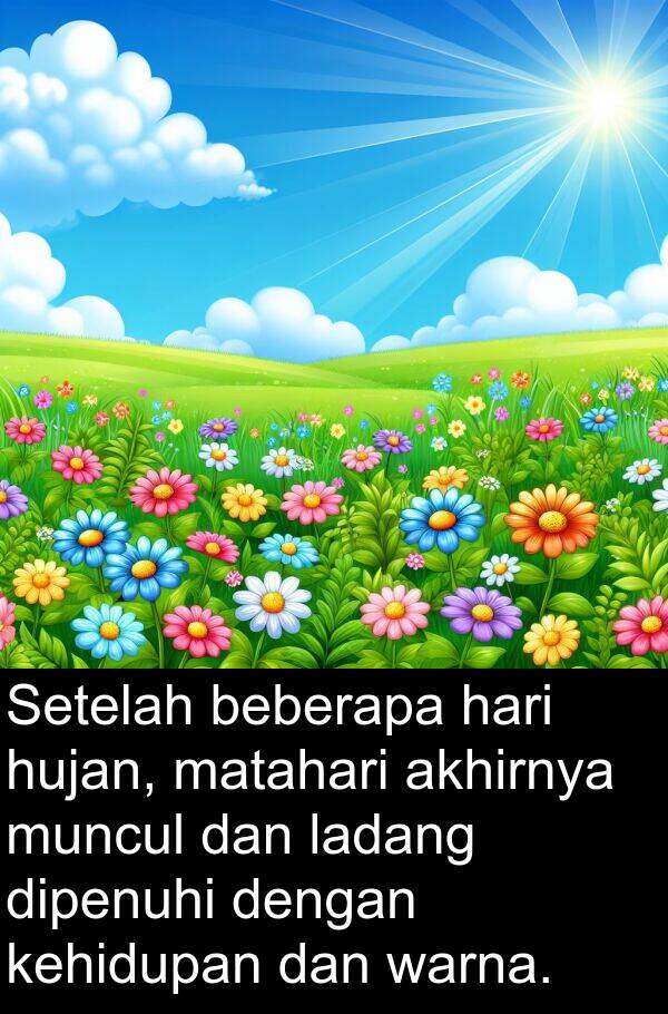 warna: Setelah beberapa hari hujan, matahari akhirnya muncul dan ladang dipenuhi dengan kehidupan dan warna.