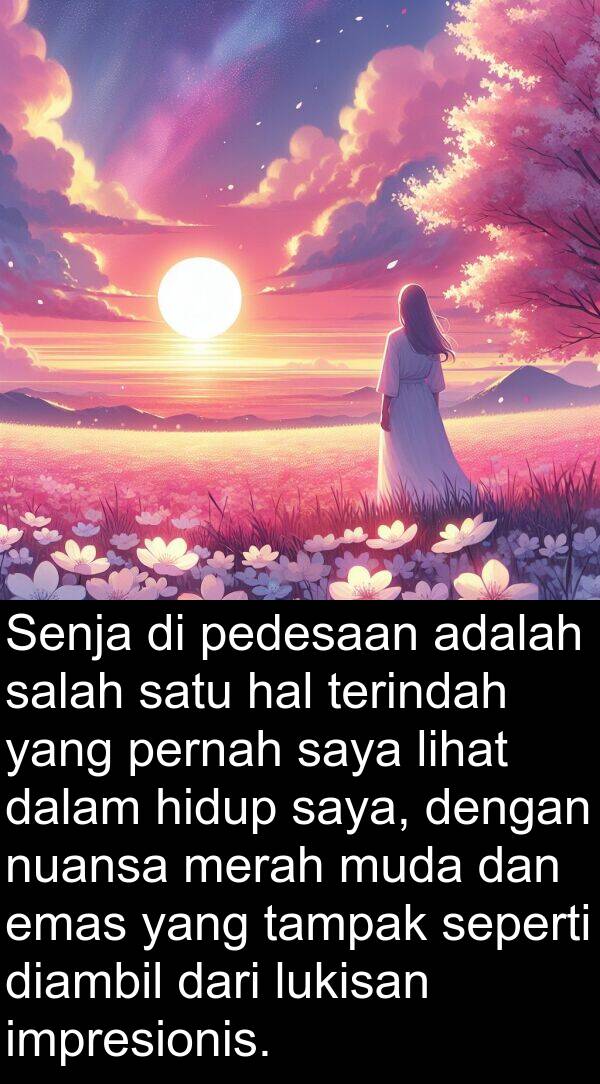 nuansa: Senja di pedesaan adalah salah satu hal terindah yang pernah saya lihat dalam hidup saya, dengan nuansa merah muda dan emas yang tampak seperti diambil dari lukisan impresionis.