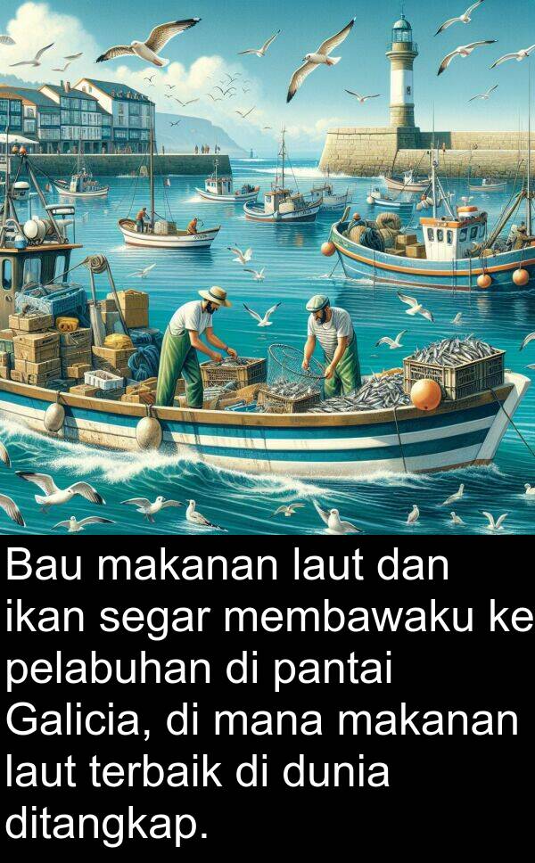 terbaik: Bau makanan laut dan ikan segar membawaku ke pelabuhan di pantai Galicia, di mana makanan laut terbaik di dunia ditangkap.