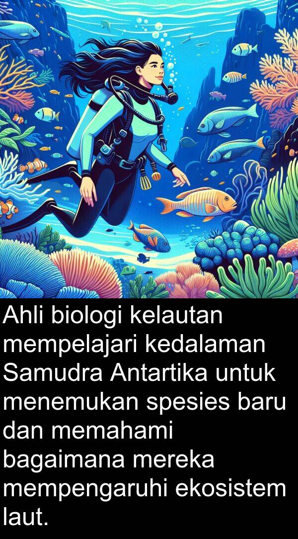 memahami: Ahli biologi kelautan mempelajari kedalaman Samudra Antartika untuk menemukan spesies baru dan memahami bagaimana mereka mempengaruhi ekosistem laut.