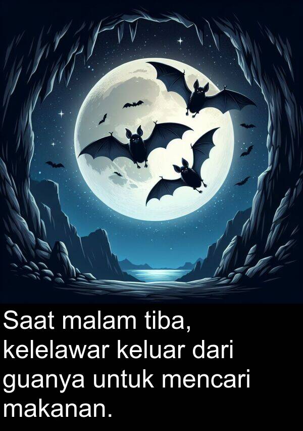 makanan: Saat malam tiba, kelelawar keluar dari guanya untuk mencari makanan.