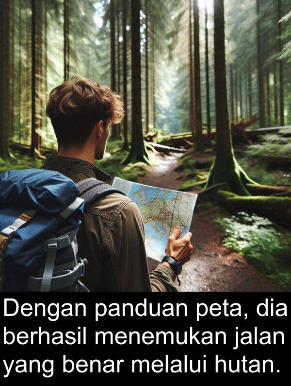 hutan: Dengan panduan peta, dia berhasil menemukan jalan yang benar melalui hutan.