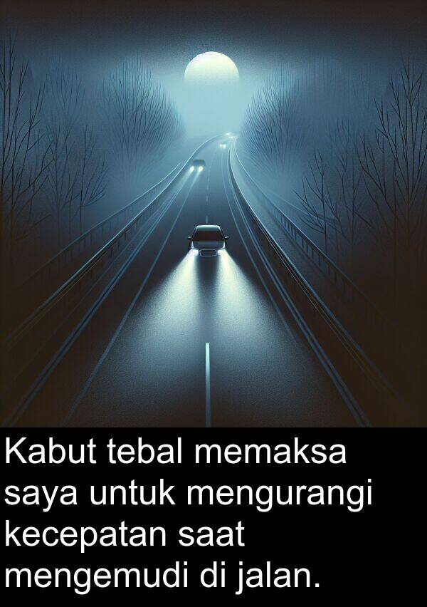 jalan: Kabut tebal memaksa saya untuk mengurangi kecepatan saat mengemudi di jalan.